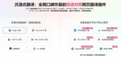 浣跨敤Immersive_Translate瀹炵幇瑙嗛鍙岃瀛楀箷
